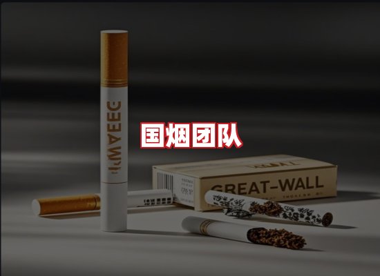 国烟团队